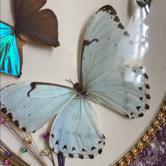 Boho Vintage Butterflies Display - Picture 2 of 7